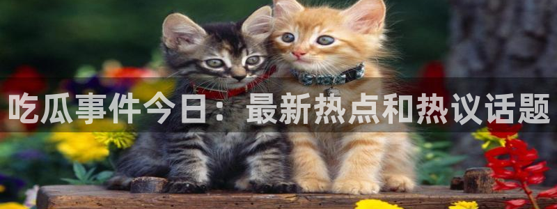 吃瓜爆料来源梳理