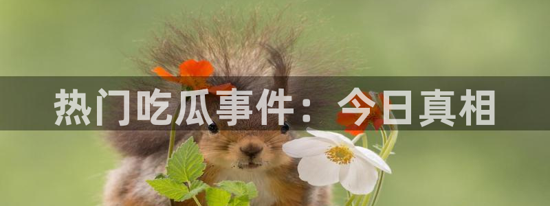 职场热点信息核验