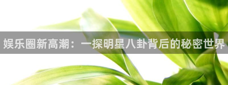 网络热点事件始末