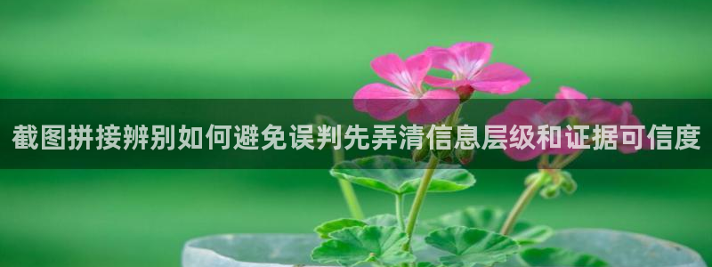 直播吃瓜信息核验