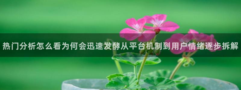 吃瓜爆料公开回应