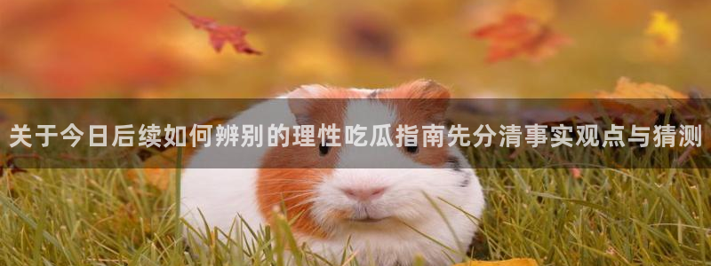 热门吃瓜公开回应