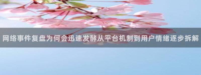 直播吃瓜后续进展