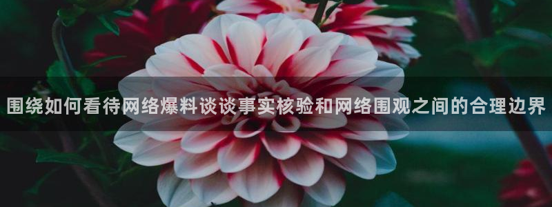 最新吃瓜公开回应