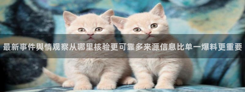 独家吃瓜后续进展